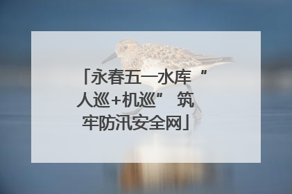永春五一水库“人巡+机巡” 筑牢防汛安全网