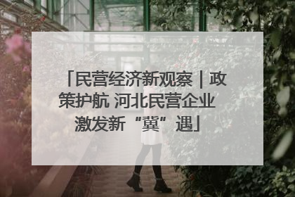 民营经济新观察｜政策护航 河北民营企业激发新“冀”遇