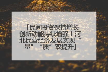 民间投资保持增长 创新动能持续增强！河北民营经济发展实现“量”“质”双提升