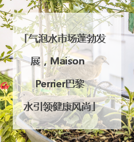 气泡水市场蓬勃发展，Maison Perrier巴黎水引领健康风尚