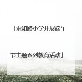 求知路小学开展端午节主题系列教育活动