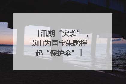 汛期“突袭”，崀山为国宝朱鹮撑起“保护伞”