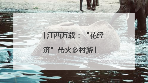 江西万载：“花经济”带火乡村游