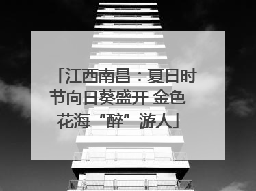 江西南昌：夏日时节向日葵盛开 金色花海“醉”游人