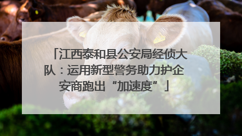 江西泰和县公安局经侦大队：运用新型警务助力护企安商跑出“加速度”