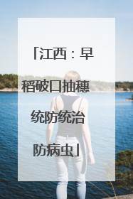 江西：早稻破口抽穗 统防统治防病虫