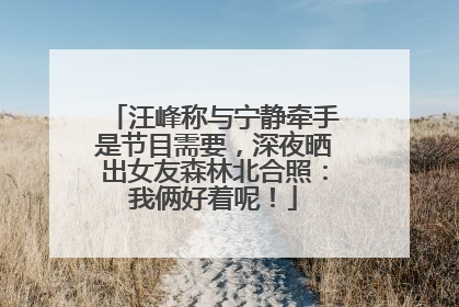 汪峰称与宁静牵手是节目需要，深夜晒出女友森林北合照：我俩好着呢！