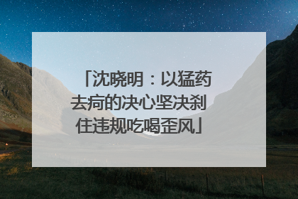 沈晓明：以猛药去疴的决心坚决刹住违规吃喝歪风