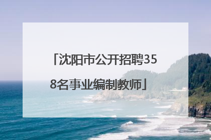 沈阳市公开招聘358名事业编制教师