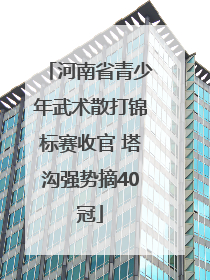 河南省青少年武术散打锦标赛收官 塔沟强势摘40冠