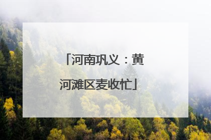 河南巩义：黄河滩区麦收忙