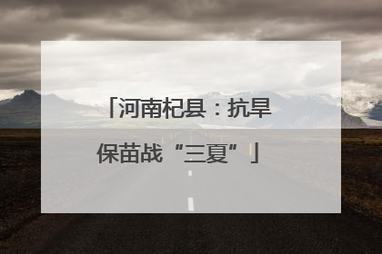 河南杞县：抗旱保苗战“三夏”