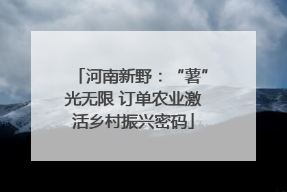 河南新野：“薯”光无限 订单农业激活乡村振兴密码