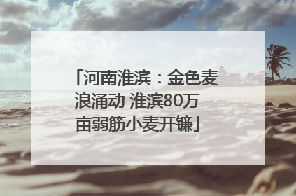 河南淮滨：金色麦浪涌动 淮滨80万亩弱筋小麦开镰