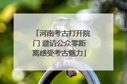 河南考古打开院门 邀请公众零距离感受考古魅力