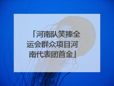 河南队笑捧全运会群众项目河南代表团首金