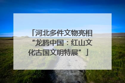 河北多件文物亮相“龙腾中国：红山文化古国文明特展”