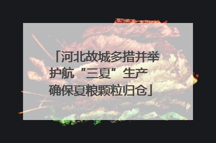 河北故城多措并举护航“三夏”生产 确保夏粮颗粒归仓