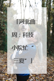 河北曲周：科技小院忙“三夏”