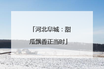 河北阜城：甜瓜飘香正当时