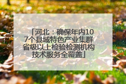 河北：确保年内107个县域特色产业集群省级以上检验检测机构技术服务全覆盖