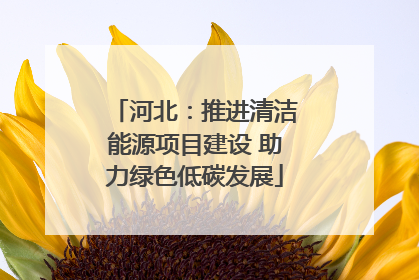 河北：推进清洁能源项目建设 助力绿色低碳发展