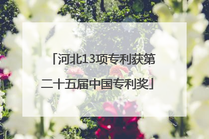 河北13项专利获第二十五届中国专利奖