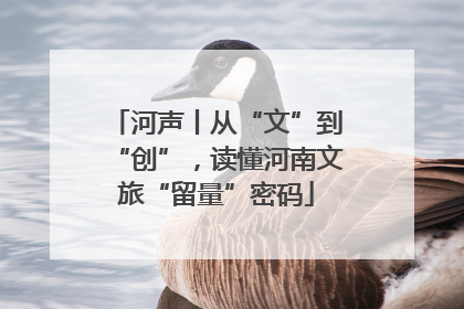 河声丨从“文”到“创”，读懂河南文旅“留量”密码