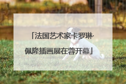 法国艺术家卡罗琳·佩隆插画展在蓉开幕