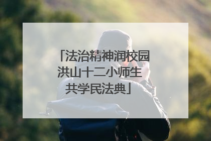 法治精神润校园 洪山十二小师生共学民法典