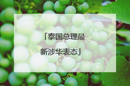 泰国总理最新涉华表态