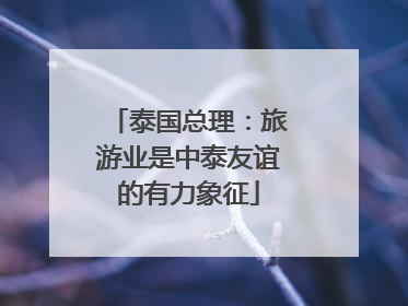 泰国总理：旅游业是中泰友谊的有力象征