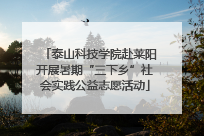 泰山科技学院赴莱阳开展暑期“三下乡”社会实践公益志愿活动