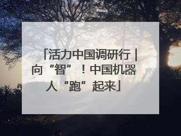 活力中国调研行｜向“智”！中国机器人“跑”起来