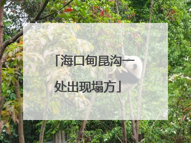 海口甸昆沟一处出现塌方