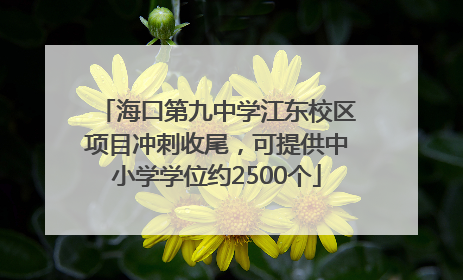 海口第九中学江东校区项目冲刺收尾，可提供中小学学位约2500个