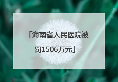 海南省人民医院被罚1506万元