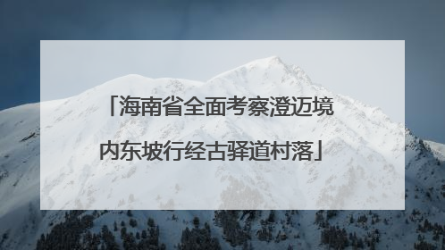 海南省全面考察澄迈境内东坡行经古驿道村落