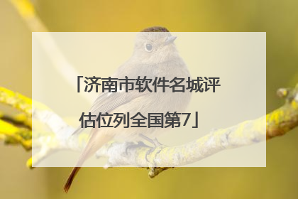 济南市软件名城评估位列全国第7