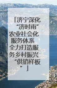 济宁深化“济时雨”农业社会化服务体系 全力打造服务乡村振兴“供销样板”