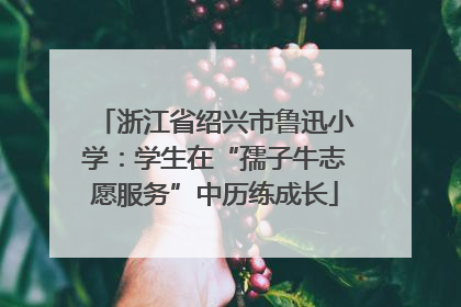 浙江省绍兴市鲁迅小学：学生在“孺子牛志愿服务”中历练成长