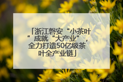浙江磐安“小茶叶”成就“大产业”，全力打造50亿级茶叶全产业链