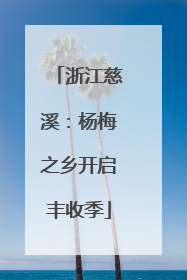 浙江慈溪：杨梅之乡开启丰收季