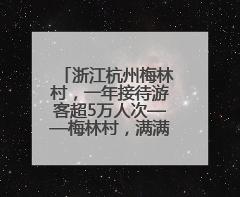 浙江杭州梅林村，一年接待游客超5万人次——梅林村，满满人气从何来（经济新方位·农村消费观察）