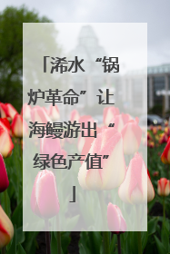 浠水“锅炉革命”让海鳗游出“绿色产值”