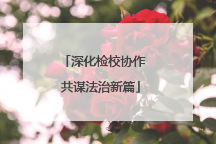 深化检校协作 共谋法治新篇