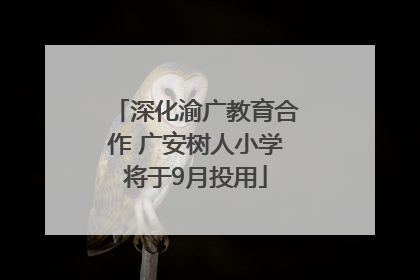 深化渝广教育合作 广安树人小学将于9月投用