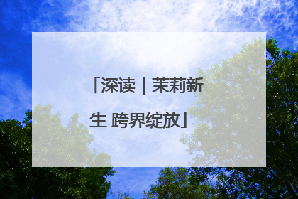 深读｜茉莉新生 跨界绽放
