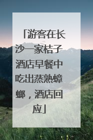 游客在长沙一家桔子酒店早餐中吃出蒸熟蟑螂，酒店回应