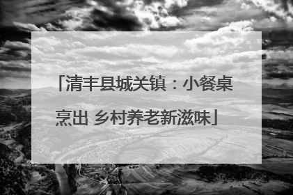 清丰县城关镇：小餐桌烹出 乡村养老新滋味
